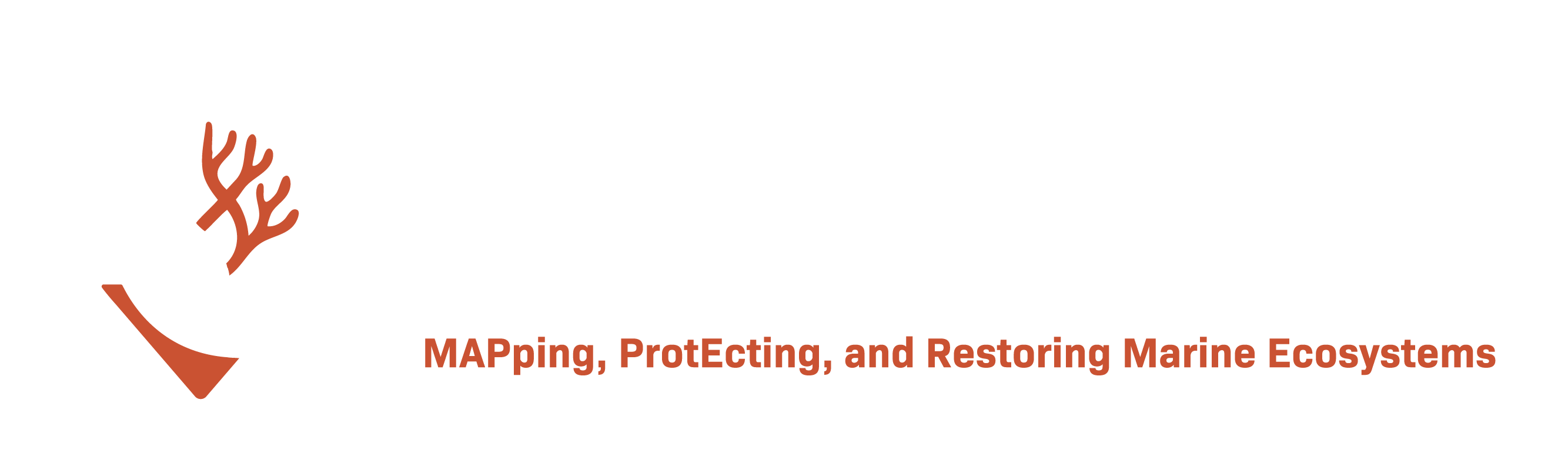 Life Mapper logo, white-orange